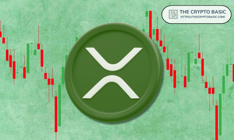 Alphractal CEO Advises Investors against Buying XRP Now: Here\