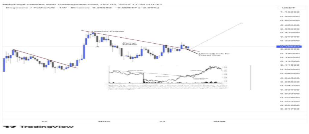 狗狗币熔断反弹:看涨势头或推动价格涨至0.8美元最高水平