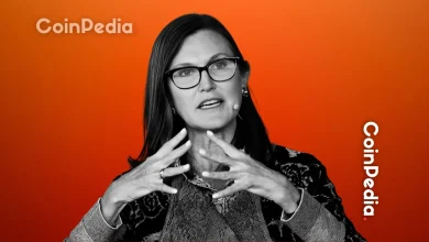 ARK Invest 拥有BitMine 股份，加码以太坊投资。