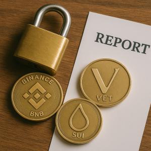 Bybit 发现 16 个采用资金冻结机制的区块链项目遭受影响——包括BNB Chain、VeChain和Sui。