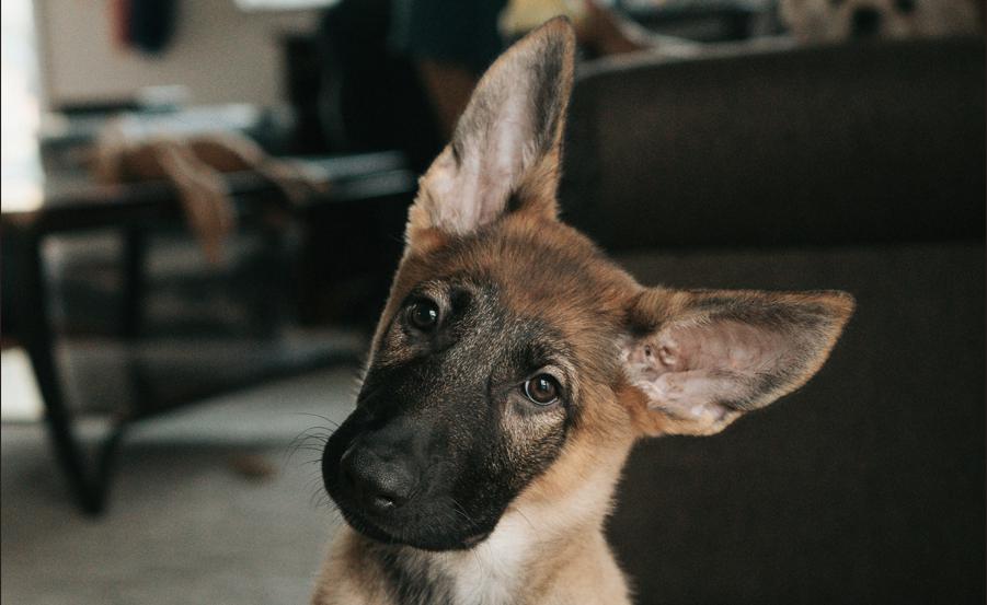 亚洲晨报：比特币抛售潮出乎意料