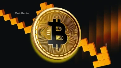 比特币价格预测：市场反弹，BTC目标价8.8万美元，市值迈入3万亿美元。